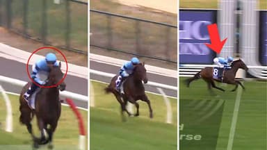 "Sky’s the limit": Maher's colt primed for Magic Millions victory