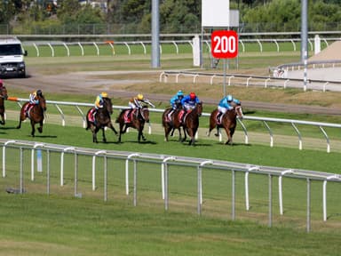 Colin McNiff's Wednesay racing preview at Launceston (04/03)