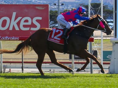 Matt Reid's Sunday racing preview at Hobart (15/02)
