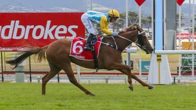 Tasracing's Sunday best bets at Hobart (28/12)