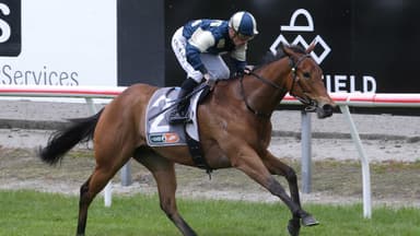 Why Pier likely won't travel to Australia for the autumn