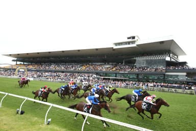 “Primed for a career peak”: Mick Gannon's Saturday best at Rosehill (21/03)