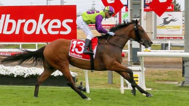 Noonan's smokey for the Oakleigh Plate