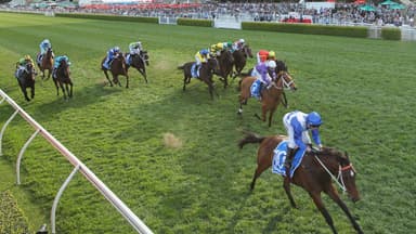 “Peak performance”: Gannon's Saturday best at Randwick (03/01)