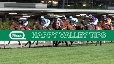 Hong Kong racing: Wednesday selections at Happy Valley (28/01)