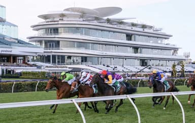 Saturday best bets from Papley & Taggart (17/01)