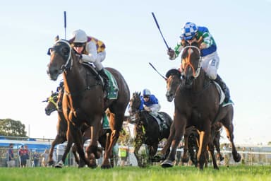 Tuesday best bets from Gannon & Hyland (17/02)