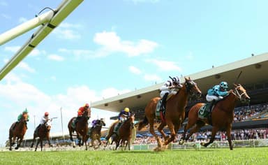 New career peak? Mick Gannon's Saturday best at Rosehill (01/08)