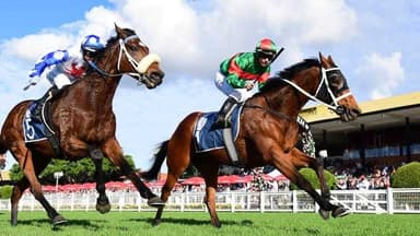 Tattersall’s Cup continues strong campaign for Asterix