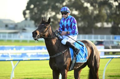 Is Pride Of Jenni past her prime?