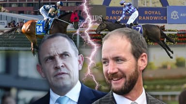 Birdman vs Jenni: How Chris Waller will attack the Doomben Cup