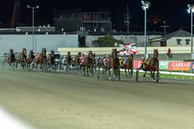 How did the Tassie contingent fare in the Inter Dominion Final?