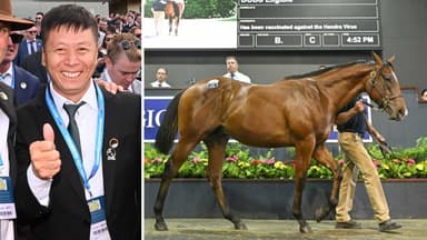 Fairgray: Yulong "fortunate" for Mr Zhang's Magic Millions Sales return