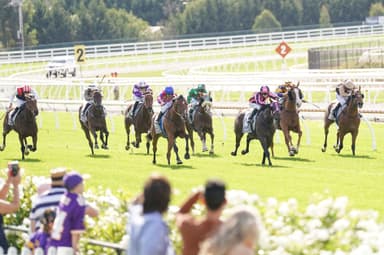 Thursday best bets from Gannon & Pfitzner (27/11)