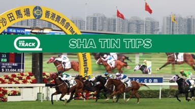 Hong Kong racing: Sunday selections at Sha Tin (25/01)