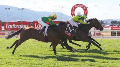 "Big boilover": Tasracing's Hobart Cup review