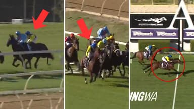 "Deserved favourite": Why the Perth Cup is Apulia's to lose