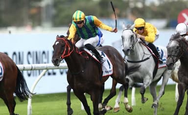 Cox Plate or King Charles? Pride provides an update on Ceolwulf