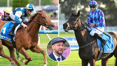 Maher Stable Update: Pride Of Jenni, Jimmysstar & more!