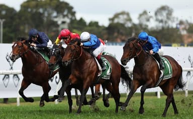 “Ready to strike”: Mick Gannon's Saturday best at Rosehill (27/06)