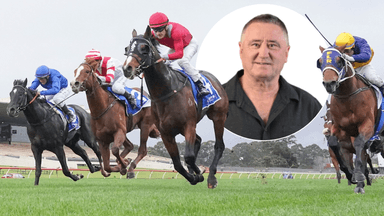 YES or NO: The horses that can and can't win the Carlyon Stakes
