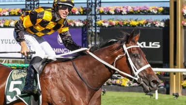 Hawkes: Why Joliestar is a cross for The Everest, not a tick