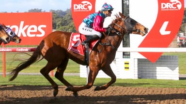 Matt Reid's Wednesday's racing preview at Devonport (26/08)