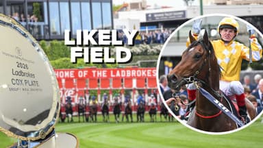 Field taking shape for Cox Plate at Flemington