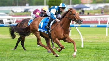 Maher: “Headscratcher” on Jimmysstar’s Memsie run