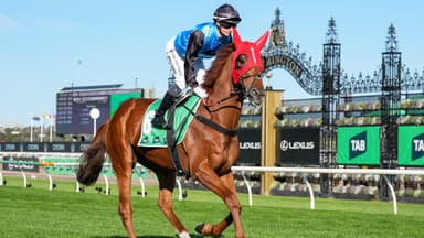 Why Half Yours' first-up run was "meh" from Cox Plate perspective