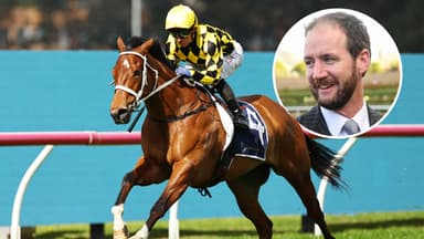 Can Autumn Glow be beaten? Maher confident he can slay the giant
