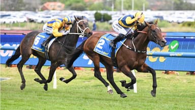Can a 3YO win the Cox Plate?