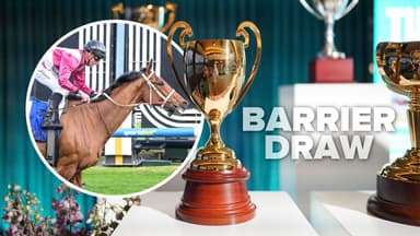 The final Caulfield Cup field and barriers