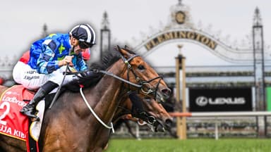 Melbourne Cup Stocktake: Juja Kibo cops Cup penalty