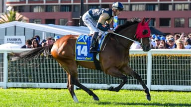 “I can't have that”: Opinions differ on Birdman’s Cox Plate chances