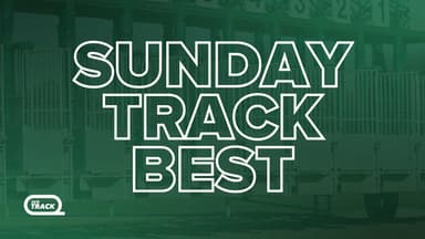 Sunday best bets from Pfitzner & Gannon (13/09)