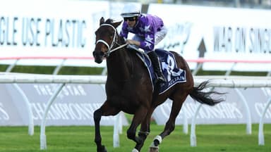 Noonan: Aeliana will "never" defeat Cosmic Crusader at 2000m