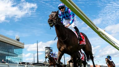 “I’d be crazy”: No intentions of retiring Pride Of Jenni