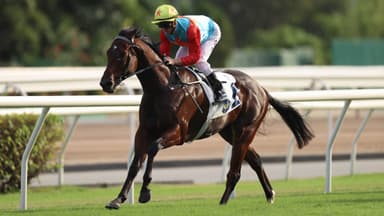 The move that 'hurt' Ka Ying Rising's Everest chances