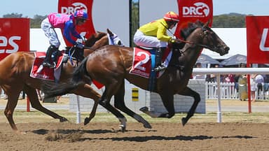 Matt Reid's Wednesday's racing preview at Devonport (09/09)
