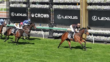“Hoof on the till”: Two great Melbourne Cup lead-up runs
