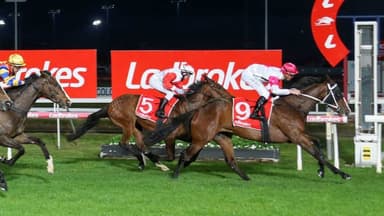 Matt Reid’s Wednesday best bets at Launceston (16/09)