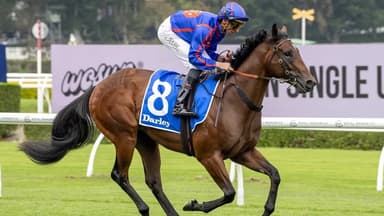 Freedman confident in Wolf Gap ahead of 1400m test